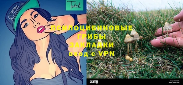твердый Горнозаводск