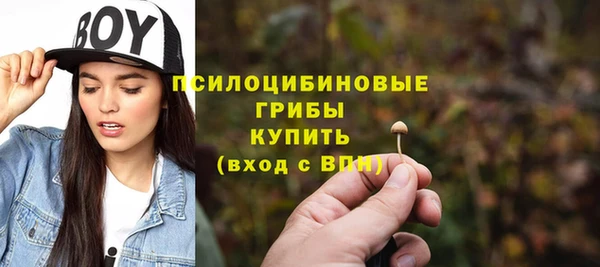 твердый Горнозаводск