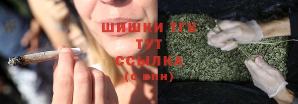 твердый Горнозаводск