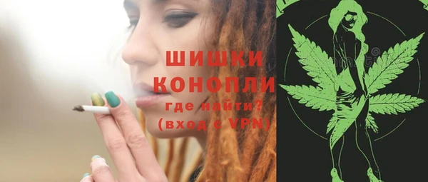 твердый Горнозаводск