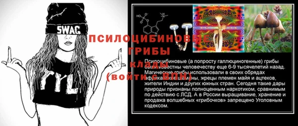 твердый Горнозаводск