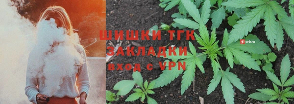 твердый Горнозаводск