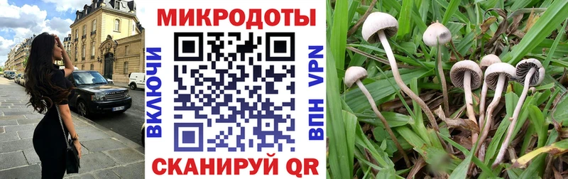 Галлюциногенные грибы Cubensis  Грайворон 
