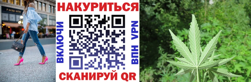Бошки Шишки план  Грайворон 